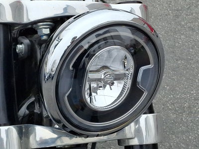 2021 Harley-Davidson FLSB SPORT GLIDE